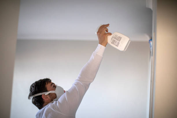 Best Mold Damage Repair  in Walnut Grove, CA