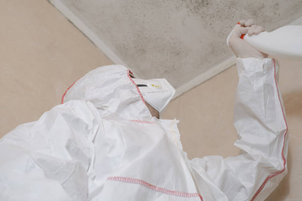 Best Mold Cleaning Services  in Walnut Grove, CA